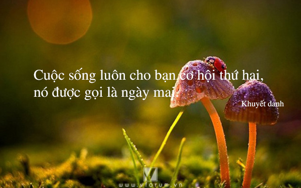 soi cầu Bình Định