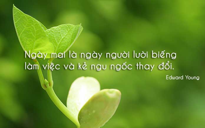 soi cầu Bạc Liêu