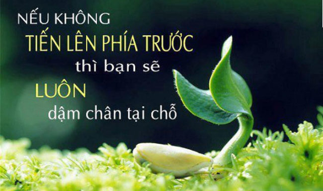 soi cầu Miền Bắc