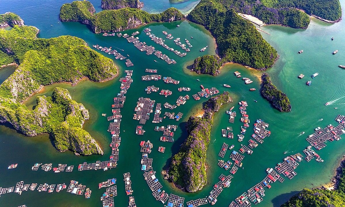 soi cầu Vũng Tàu