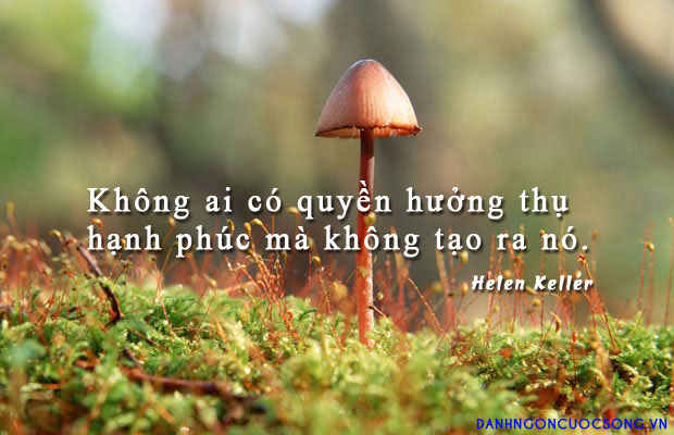 soi cầu Đồng Nai