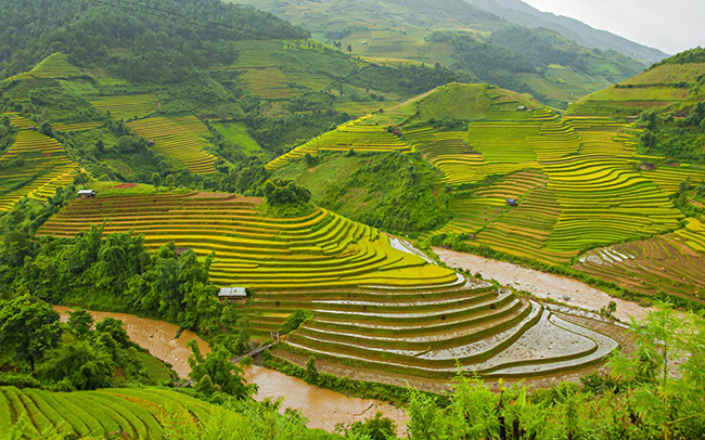 soi cầu Bình Định