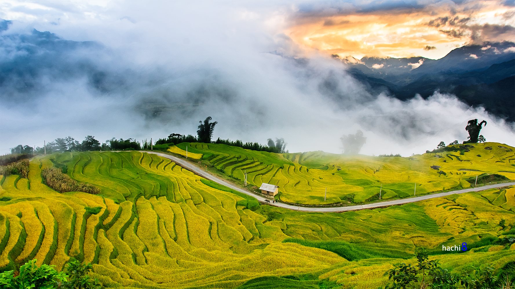 soi cầu Vĩnh Long