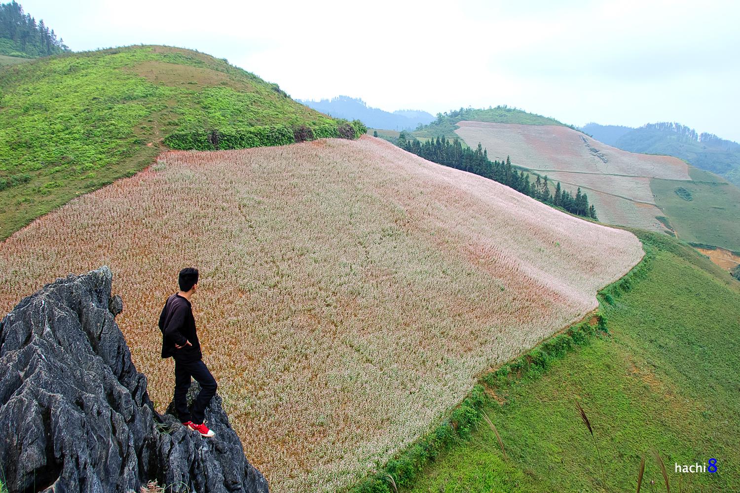 soi cầu Khánh Hòa