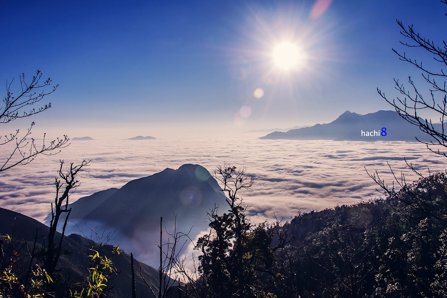 soi cầu Tây Ninh