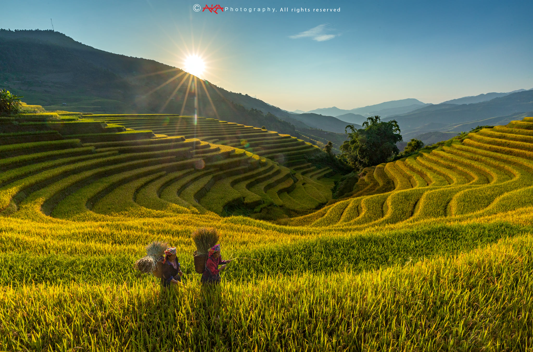 soi cầu Vĩnh Long