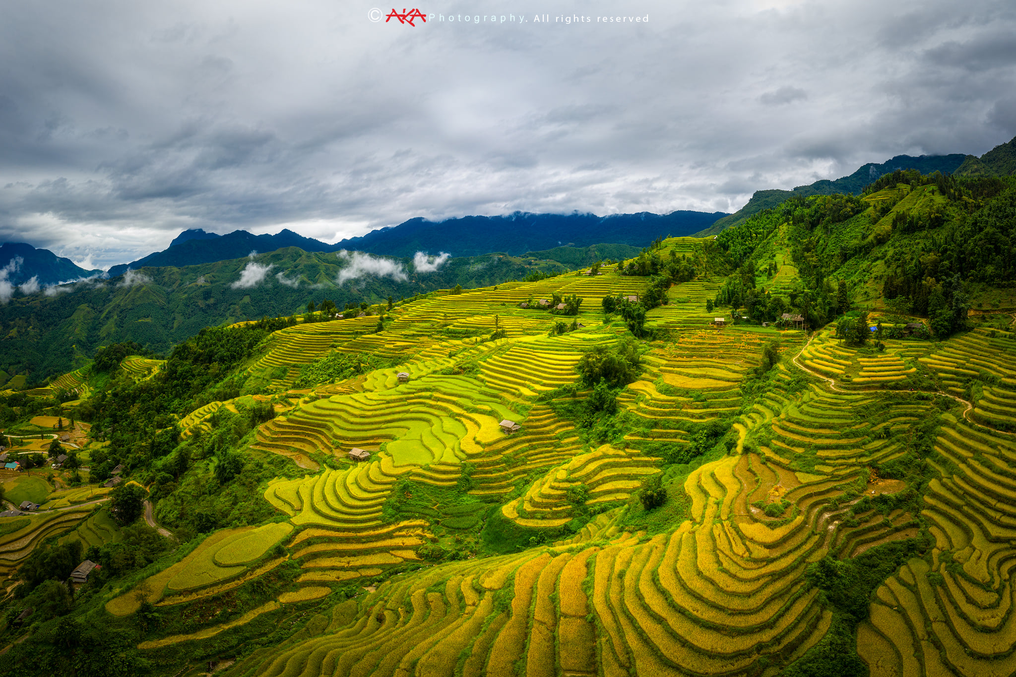 soi cầu An Giang