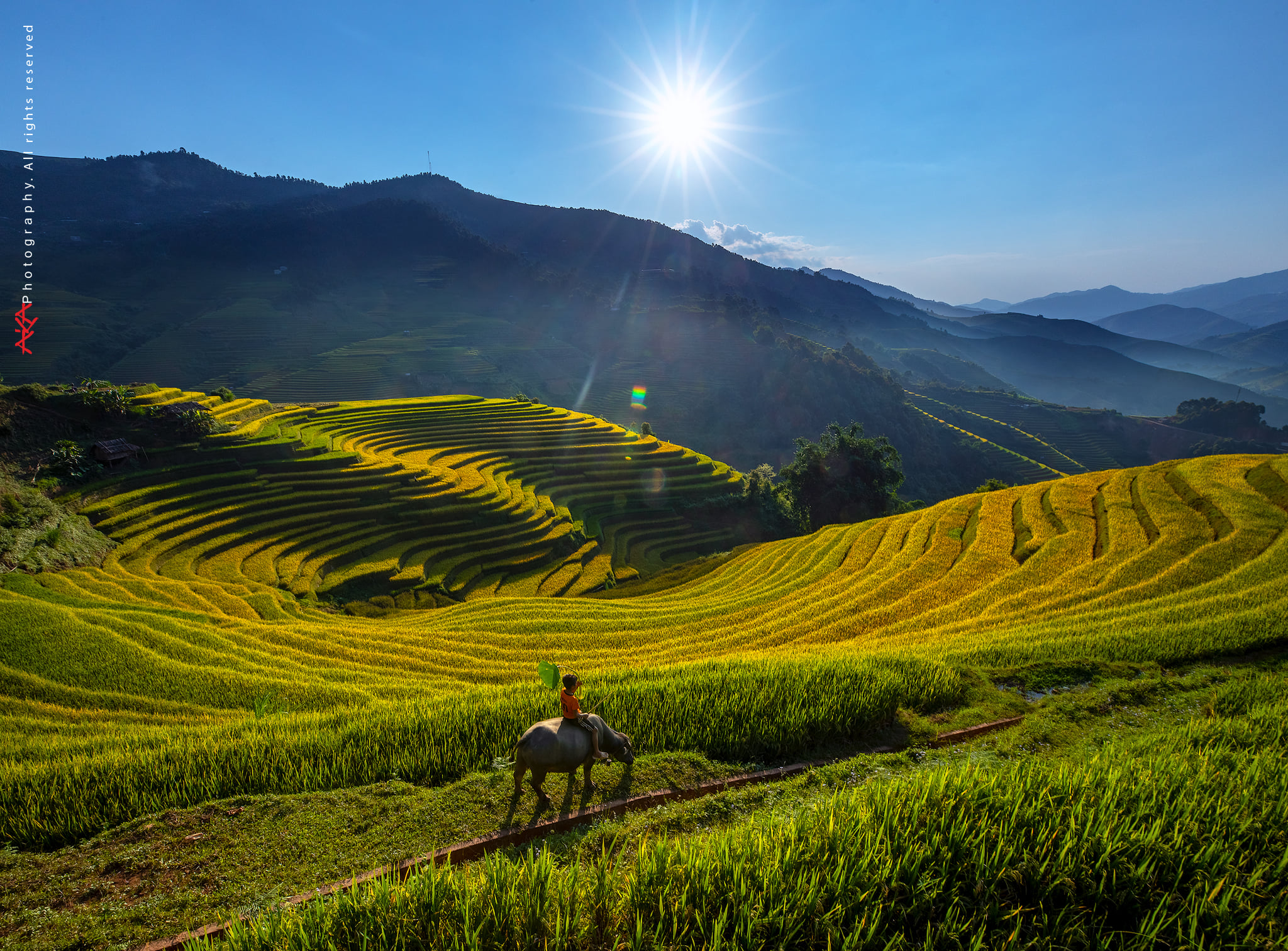 soi cầu Trà Vinh