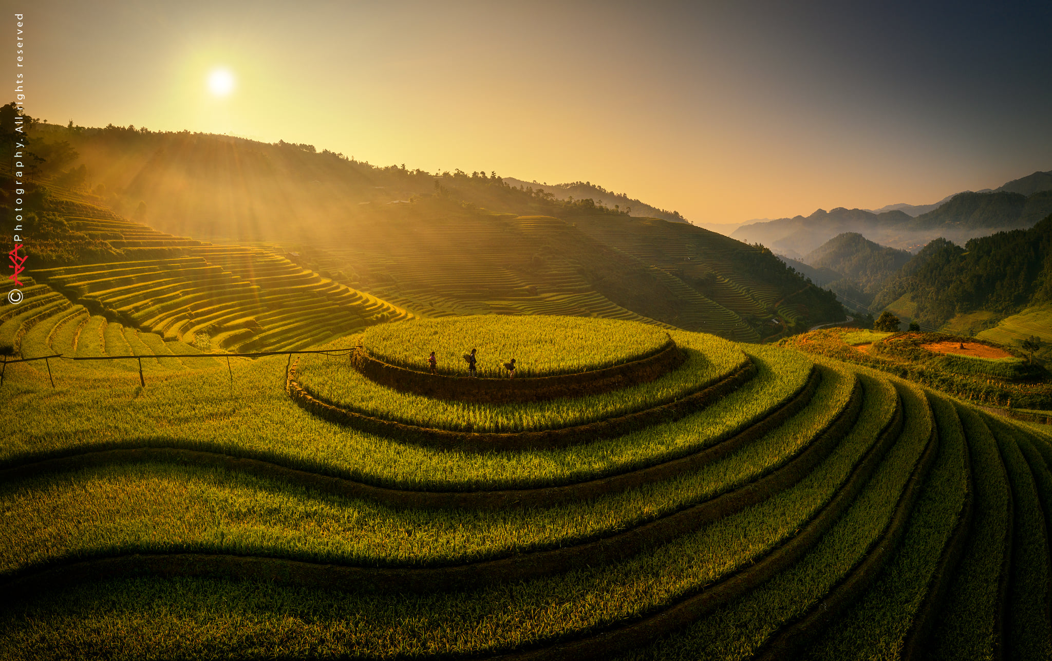 soi cầu Vĩnh Long