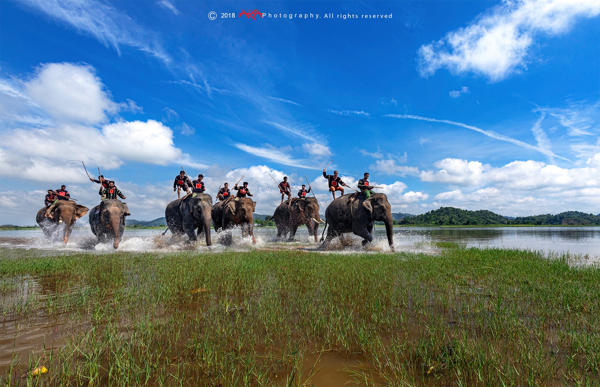 soi cầu Tiền Giang