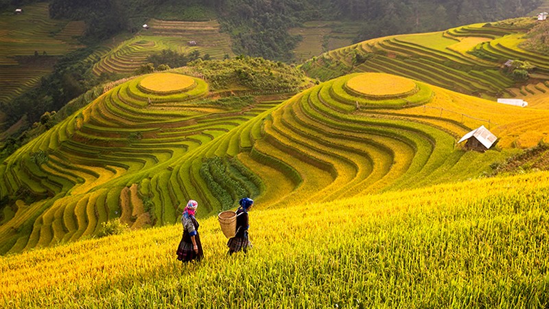 soi cầu Tiền Giang