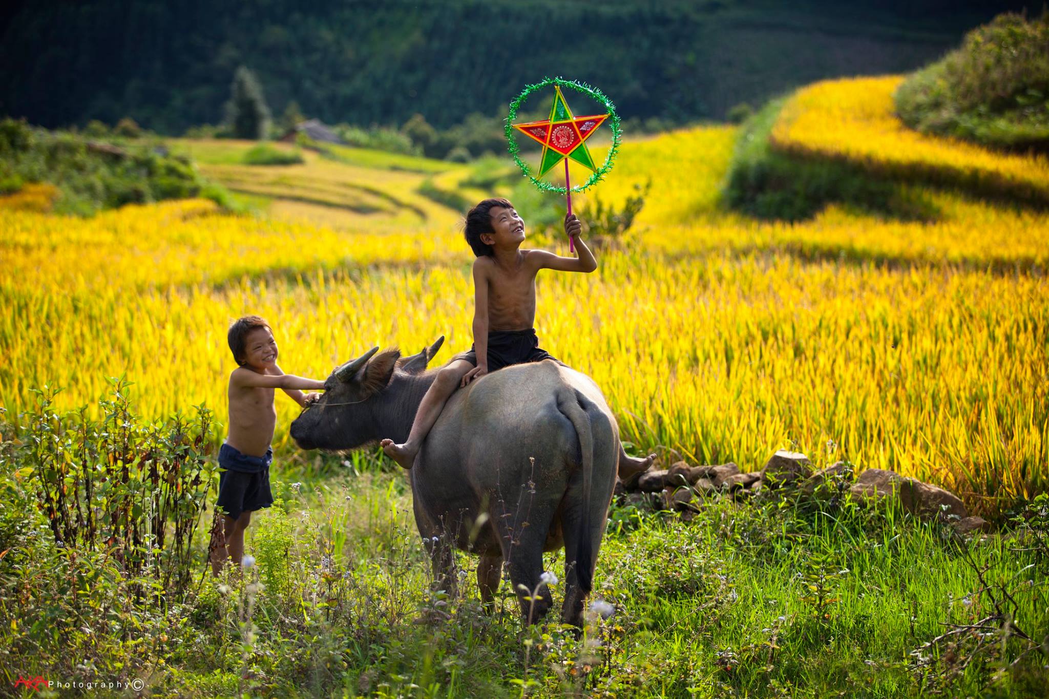 soi cầu Trà Vinh