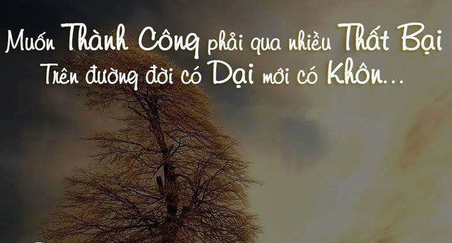 soi cầu Quảng Trị