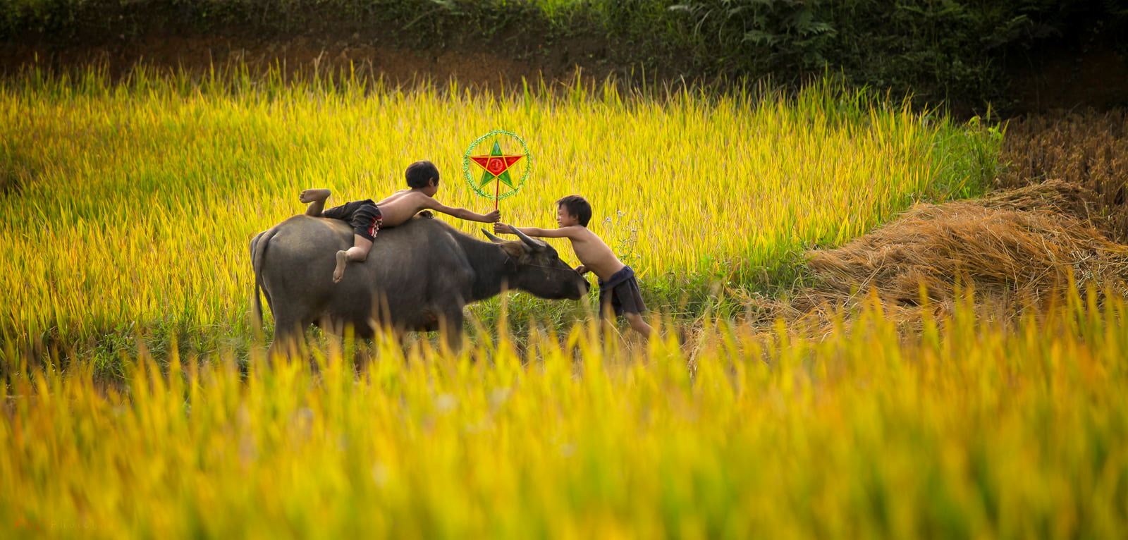 soi cầu Vũng Tàu