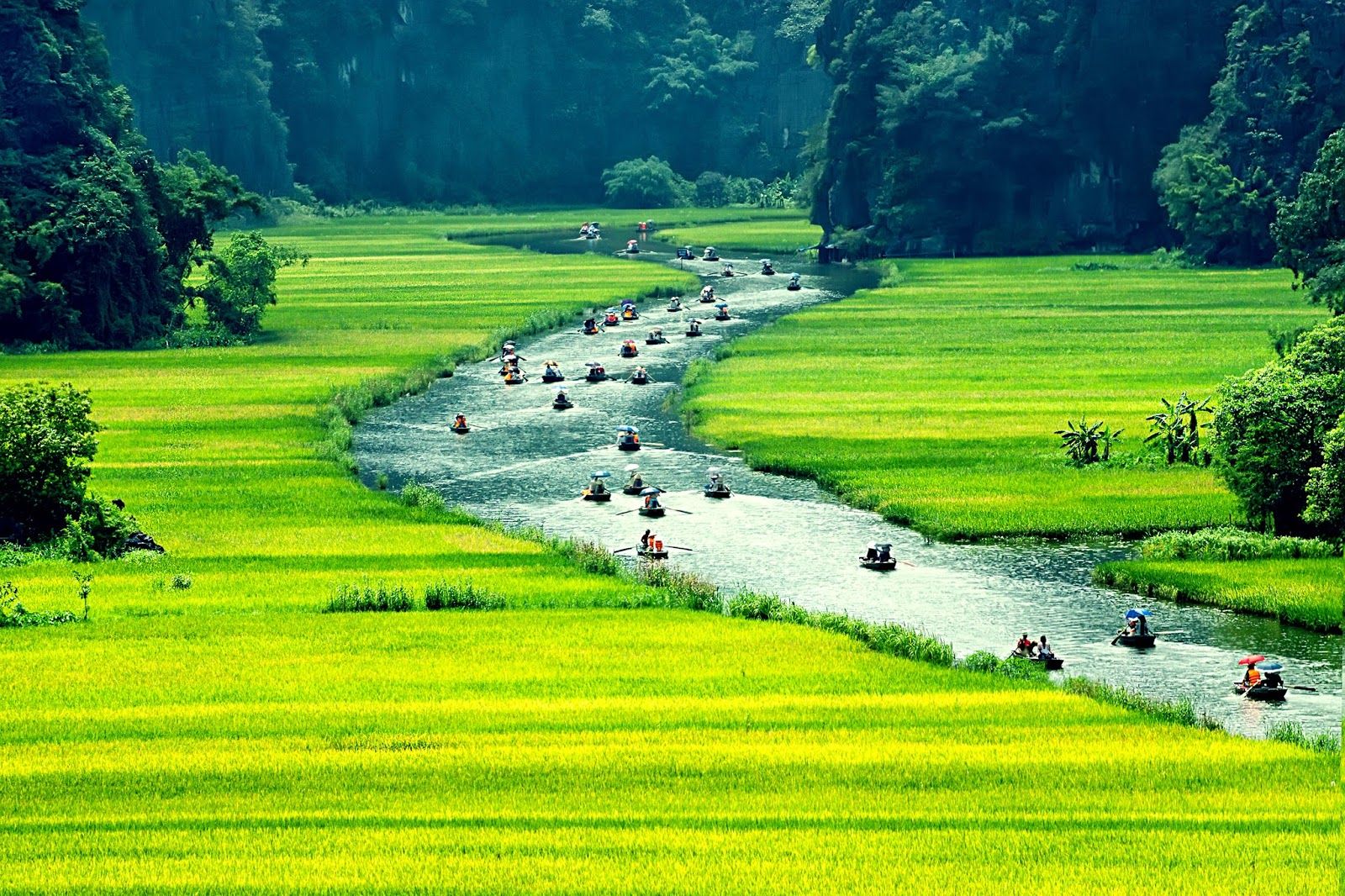 soi cầu Quảng Bình