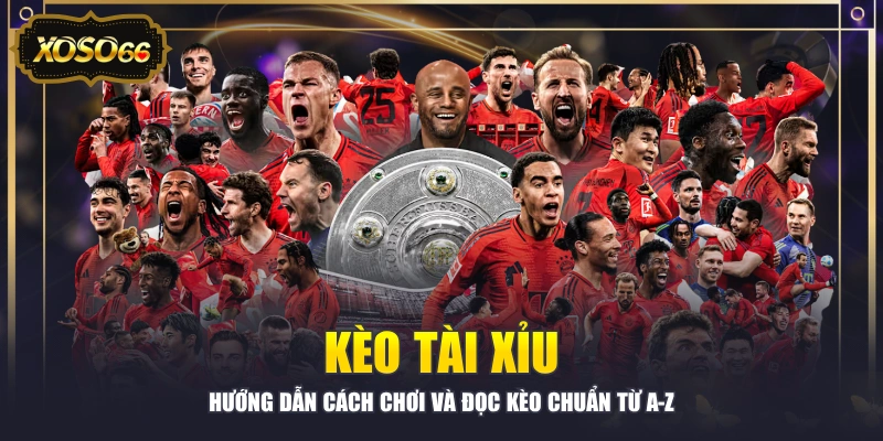 Kèo Tài Xỉu - Hướng Dẫn Cách Chơi Và Đọc Kèo Chuẩn Từ A-Z