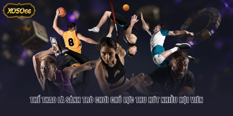 Thể thao là sảnh trò chơi chủ lực thu hút nhiều hội viên